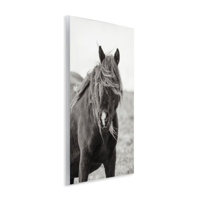 Wild Pony with Windy Mane Wall Plaque Art, design by Deborah Revell