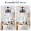 Cissline 16.5" Black Caged Flush Mount Ceiling Fan with Light Kit and Remote for Bedroom, Living Room, Kitchen-1458025045-1458025067