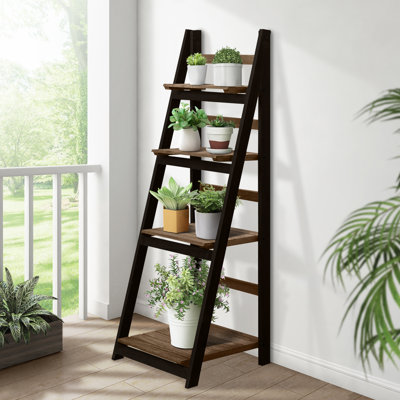 Ladder Bookcase