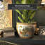 Satsuma Garden & Peacock Porcelain Fishbowl-13988893-86176740