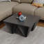 Haughton Coffee Table-1829769310