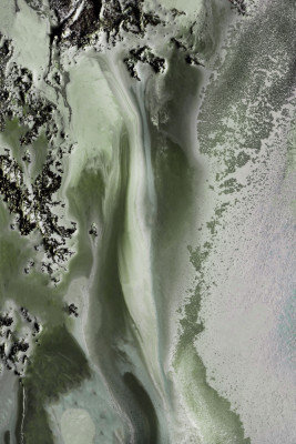 Wrapped Canvas Print, 76.2cm H x 50.8 cm W