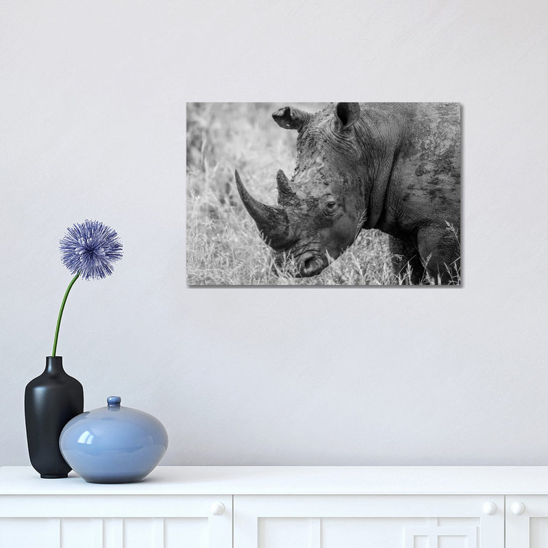 Rhino's Male by Anders Jorulf - Wrapped Canvas Print, 30.48 cm H x 45.72 cm W
