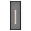 Hinkley Max Large Wall Mount Lantern-315166720-315166727