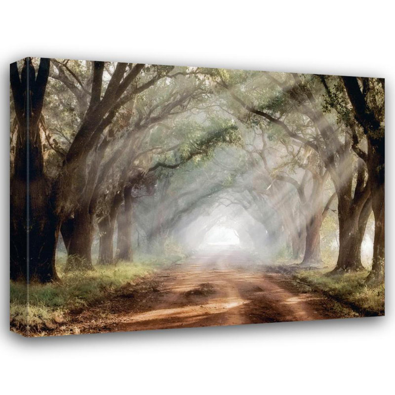 Evergreen Plantation, 28" H x 36" W