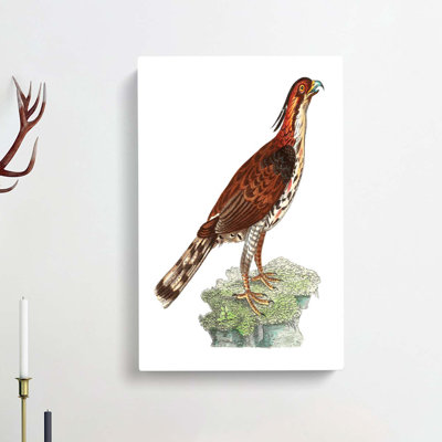 Falcon by George Shaw - Wrapped Canvas