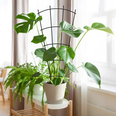 Treillis pour plantes en pot 32 po pour plantes en pot (ensemble de 4) - Support décoratif antirouille pour plantes grimpantes d'intérieur et d'extérieur