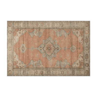 Tapis intérieur et extérieur brun Overdyed