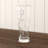 20 oz. Pilsner Glass Set-29920744