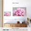 Harnek Pivoines I-107499713