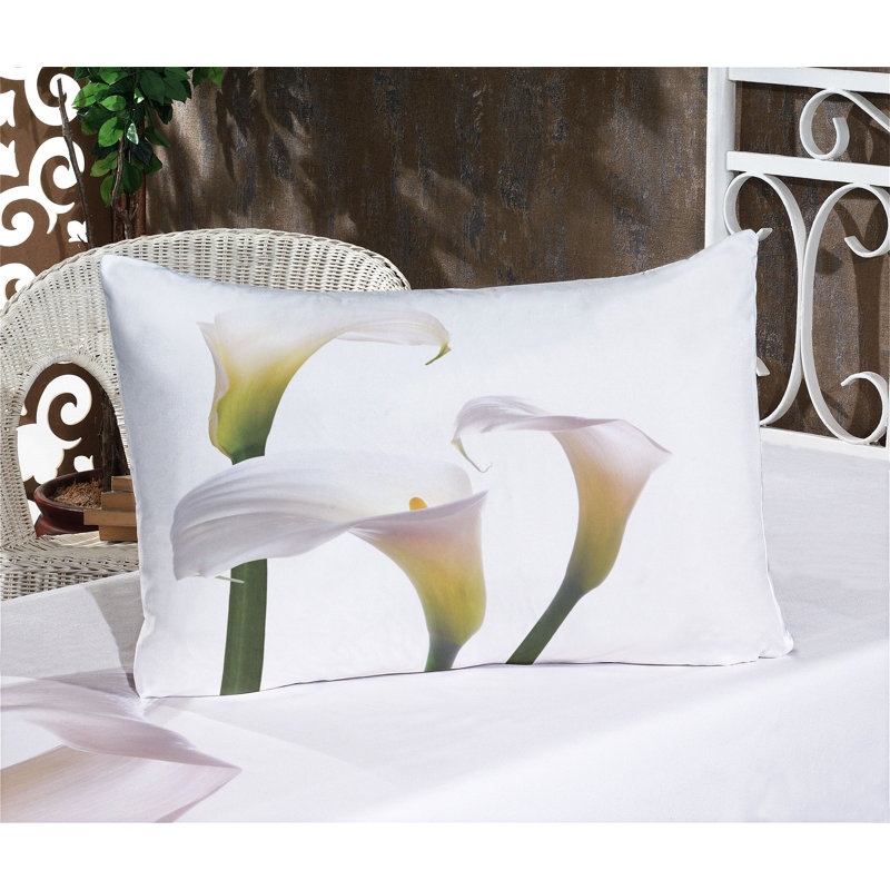 Drap-housse et coussin décoratif Ambesonne, Ensemble de draps pour lit simple + 5 pièces supp