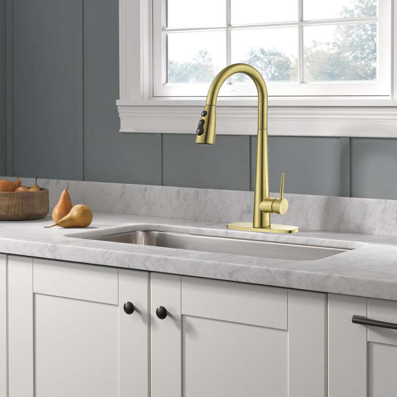 NOVEL Pull Down Kitchen Faucet, Brushed Gold
