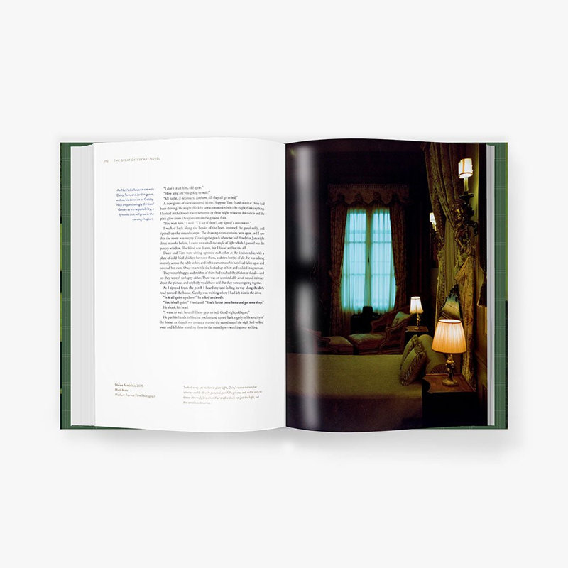The Great Gatsby Art NovelTM