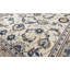 Wool Oriental Area Rug in Ivory