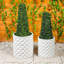 Tremee Planter