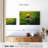 Brampt Snail On Turtle-108821967