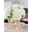 Véritable hydrangée dans un vase-1721809808