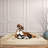 Orthopedic Pet Bed