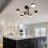 LED Ceiling Light Black Ceiling Light with Remote Modern Ceiling