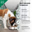 Bol pour animal de compagnie-13945768