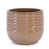 Bronze Antique