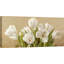 White Tulips 1 Piece Wall Art on Canvas-193184979