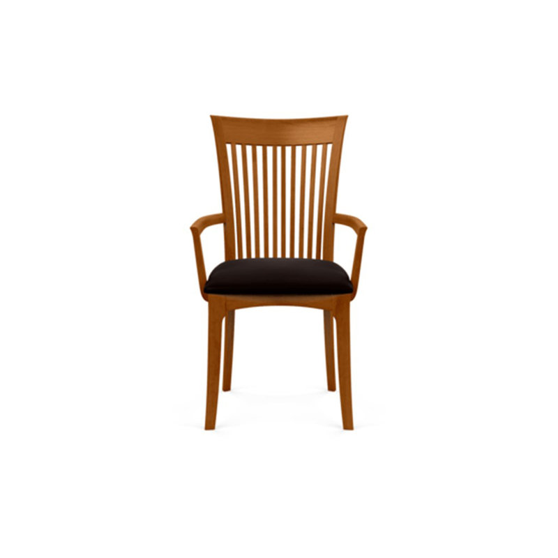 Sarah 19.25'' H Upholstered Armchair, Autumn Cherry, Ebony Leather