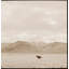 Landscape With Horse Print by Dunker, Chris-115066314-115066317