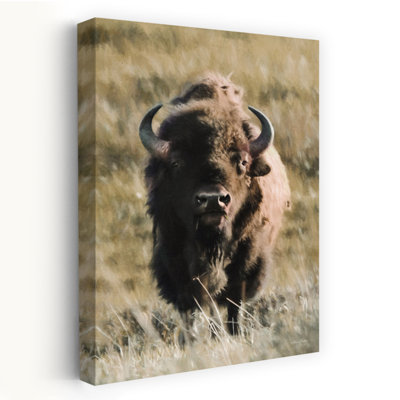 Art contemporain bison de Yellowstone