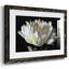 WHITE PEONY - Reproduction encadrée rustique avec tableau mat-457084501-457084500