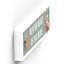 Pendik Animals Box Signs & Plaques