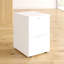 Buariki 46.4cm Wide 2 -Drawer File Cabinet-29709307