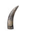3 Piece Variegated Horn Sculpture Set