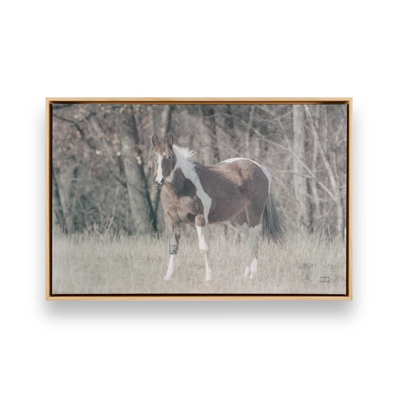 «Sunny Field III» par Nathan Larson, reproduction d'art, H 12 po x l 18 po, Cadre flottant, Tanné