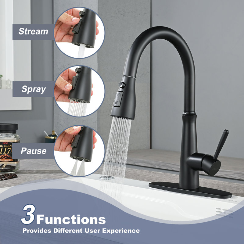 Matte Black Stainless Steel Pull-Down Kitchen Faucet with Spray