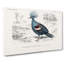Crowned Pigeon Illustration by Utagawa Hiroshige - Wrapped Canvas-55342745