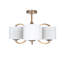 Gossman 3 - Light Shaded Chandelier