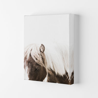 Horse III 1 Piece Wall Art