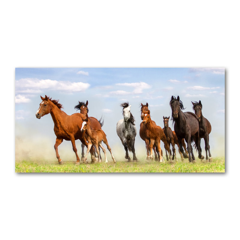 Horses In A Gallop - No Frame Print on Canvas