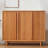 Modern Walnut Solid wood Shoe Storage
