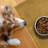Litter Mat-63058573