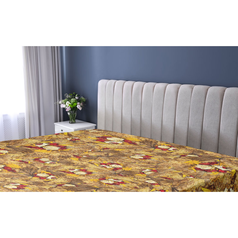 Drap-housse Ambesonne