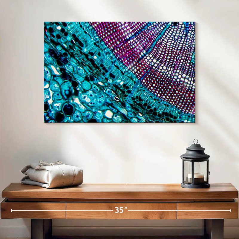 Keiri Pine Stem Under Microscope, 16" H x 24" W