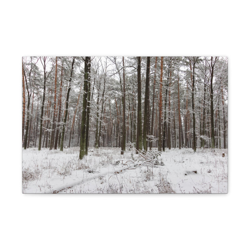 No Frame Print on Canvas, 16cm H x 20cm W