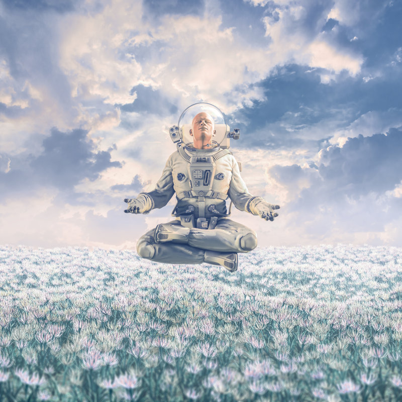 Bustillos Dreamer In The Field - Wrapped Canvas Print, 30cm H x 30cm W x 3.8cm D