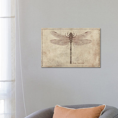 Anax Imperator 2 by Mike Koubou - Wrapped Canvas Print