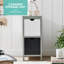 Fasto Solid Wood 22cm W 2 - Drawer Chest of Drawers