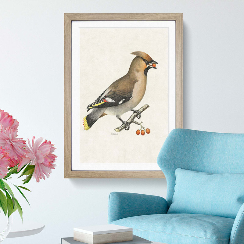 Bohemian Waxwing by Von Wright - Picture Frame Graphic Art Print, 48cm H x 36cm W x 2cm D, Oak Framed