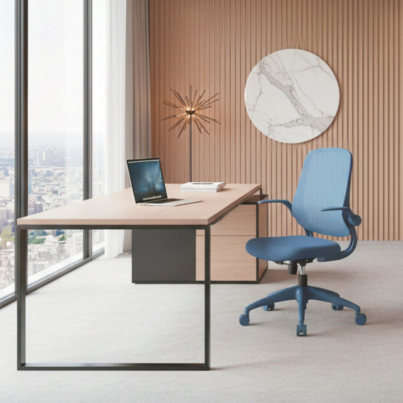 Chaise de bureau ergonomique ergonomique, Bleu, Bleu