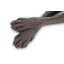 Great Dane Statue-42452538-42452540